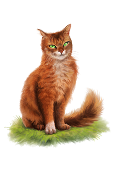 Squirrelflight by ccppg.png