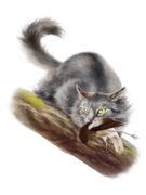 Graystripe by ccppg.png