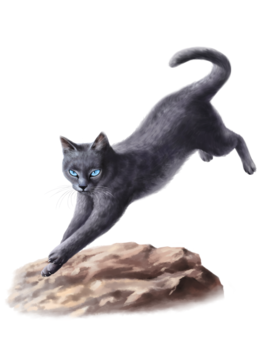 Crowpaw by ccppg.png