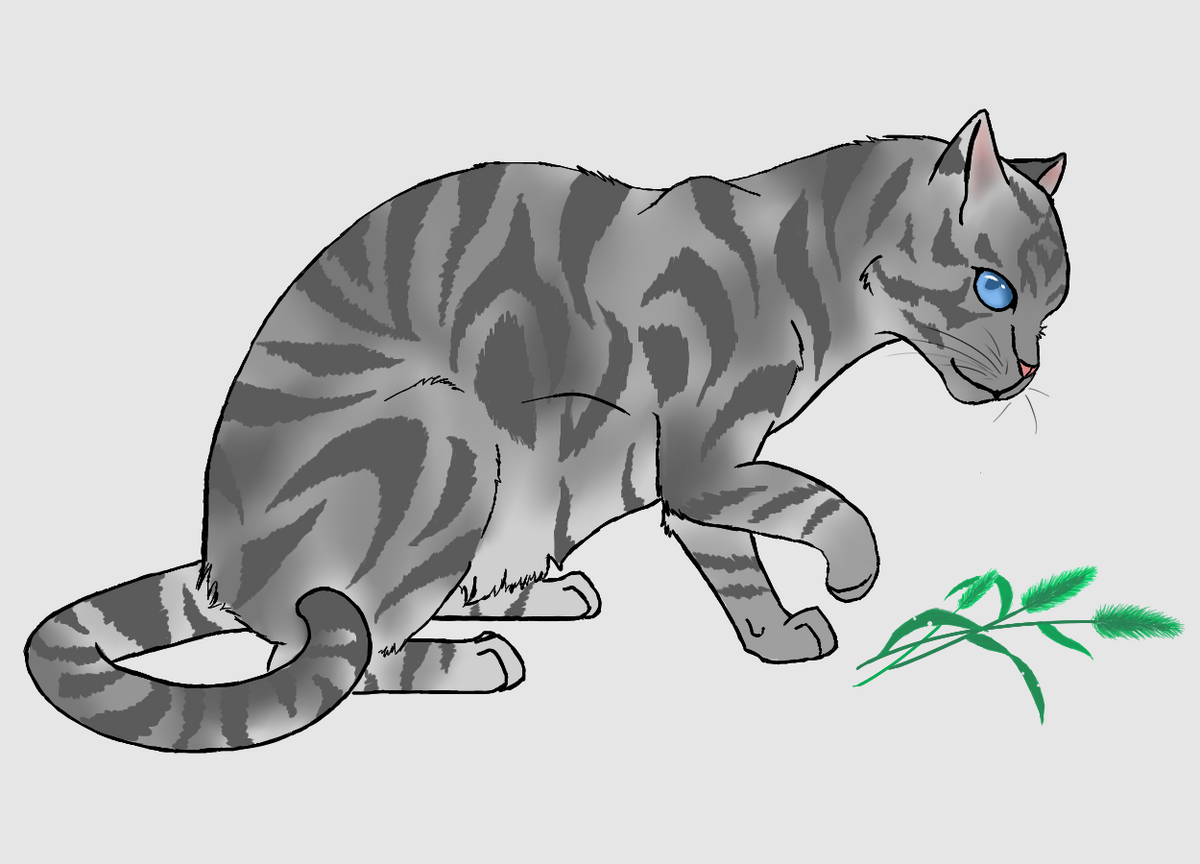 松鸦羽 - 猫武士维基 - 灰机wiki - 北京嘉闻杰诺网络科技有限公司