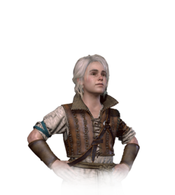Tw3 journal ciri young.png